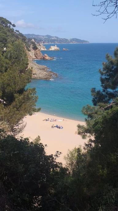 Alegre Apto Con Piscina, A 300M De La Playa. Blanes Kültér fotó